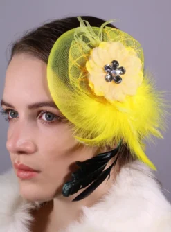 Bibi pour cheveux avec plume