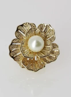 bijou pour chaussures