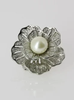 bijou pour chaussures