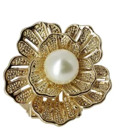 bijou pour chaussures