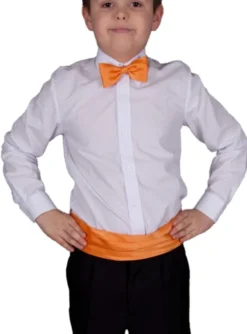 Ceinture cortège garçon + noeud papillon