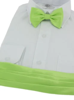Ceinture cortège garçon + noeud papillon
