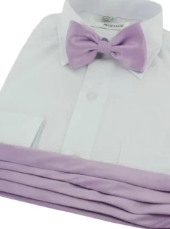Ceinture cortège garçon + noeud papillon
