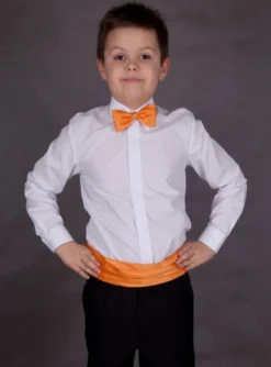 Ceinture cortège garçon + noeud papillon