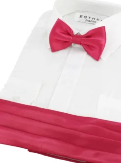 Ceinture cortège garçon + noeud papillon
