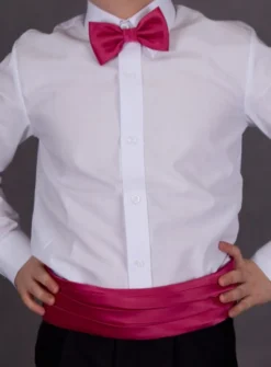 Ceinture cortège garçon + noeud papillon