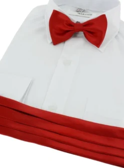 Ceinture cortège garçon + noeud papillon