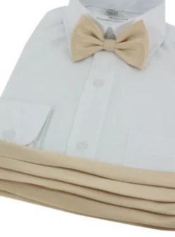 Ceinture cortège garçon + noeud papillon