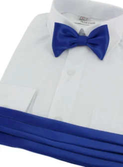 Ceinture cortège garçon + noeud papillon