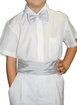 Ceinture de cortège et nœud papillon