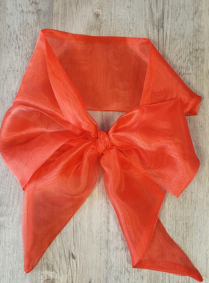 Ceinture de cortège fille en organza