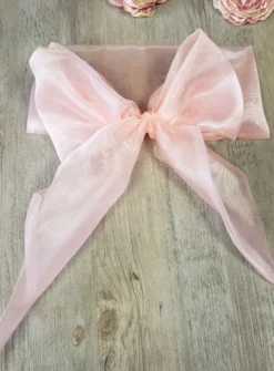Ceinture de cortège fille en organza