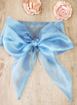 Ceinture de cortège fille en organza