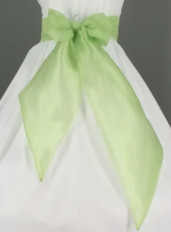 Ceinture de cortège fille en organza