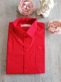 Chemise habillées enfant manches courtes