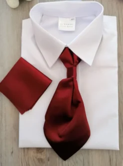 Cravate lavallière enfant satin uni avec pochette