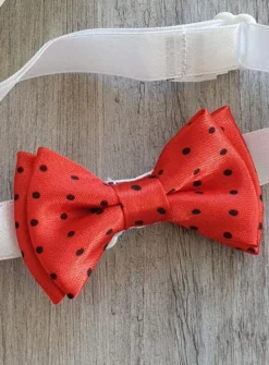 Noeud papillon bébé avec petit poids