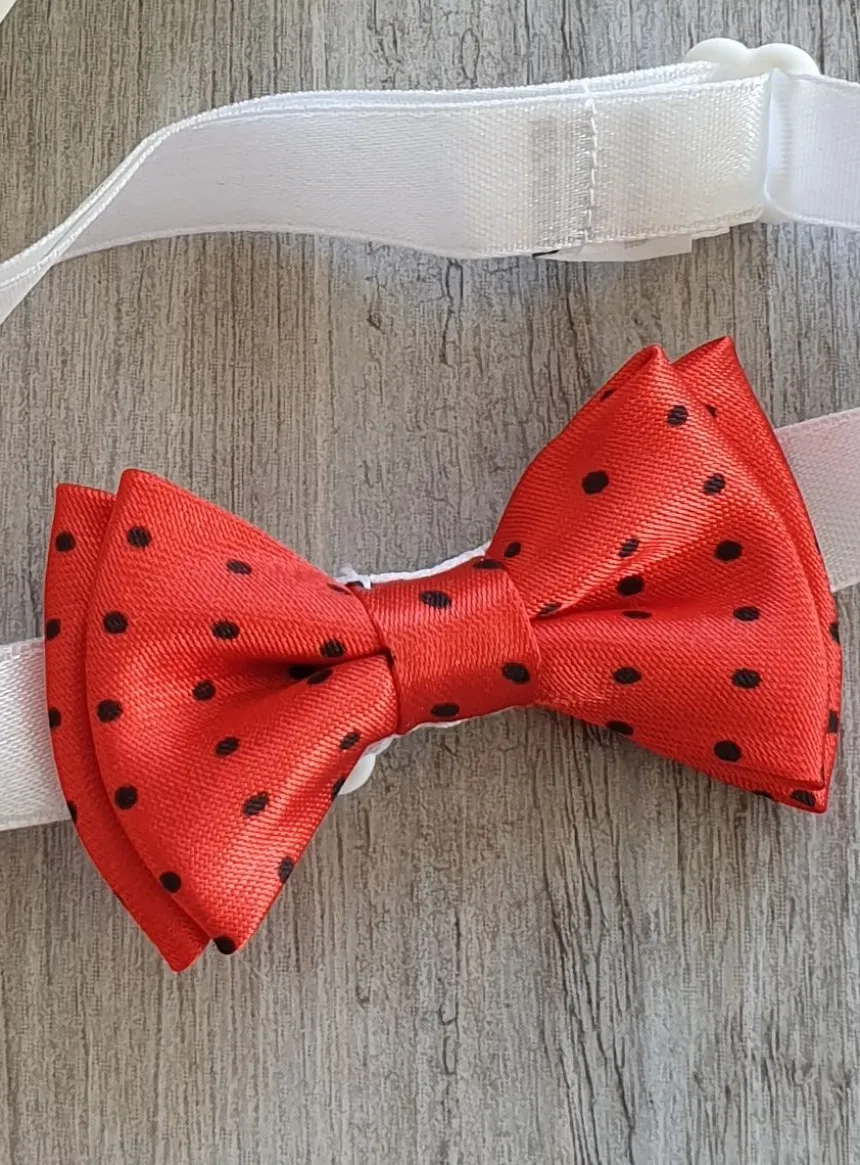 Noeud papillon bébé avec petit poids