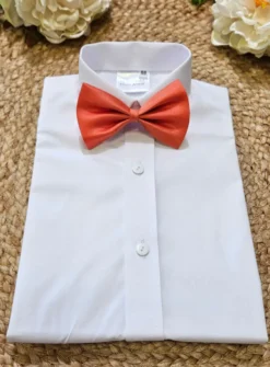Noeud papillon enfant ou bébé classic