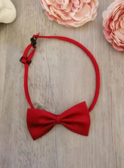 Noeud papillon enfant ou bébé classic