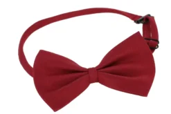 Noeud papillon enfant ou bébé classic