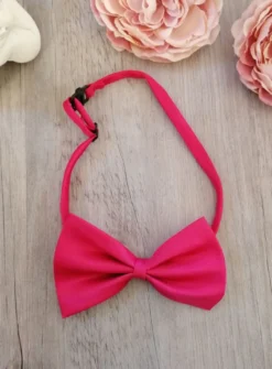 Noeud papillon enfant ou bébé classic