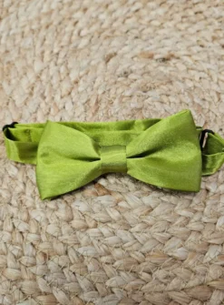 Noeud papillon satin pour enfant
