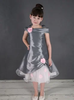 Robe cérémonie fille Pétale grise