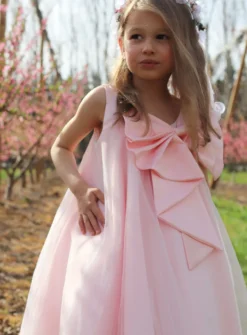 Robe cérémonie petite fille Doris avec gros noeud