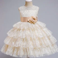 Robe de cérémonie dentelle fille