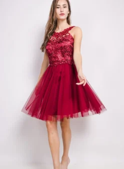 Robe jeune fille tulle et dentelle
