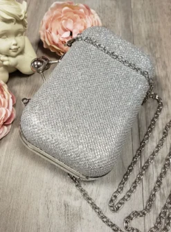 Sac de soirée minaudière