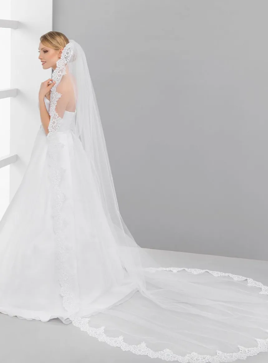 Voile de mariée dentelle large