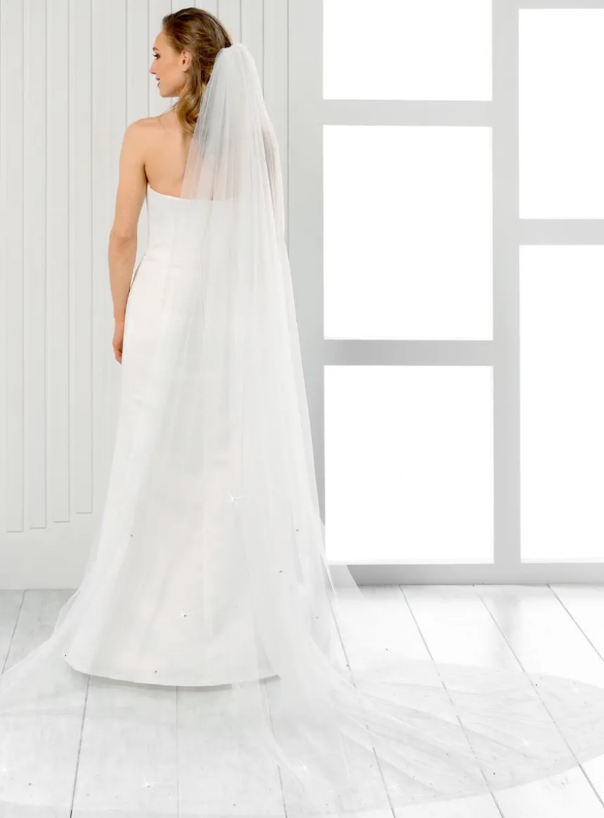Voile de mariée simple avec strass